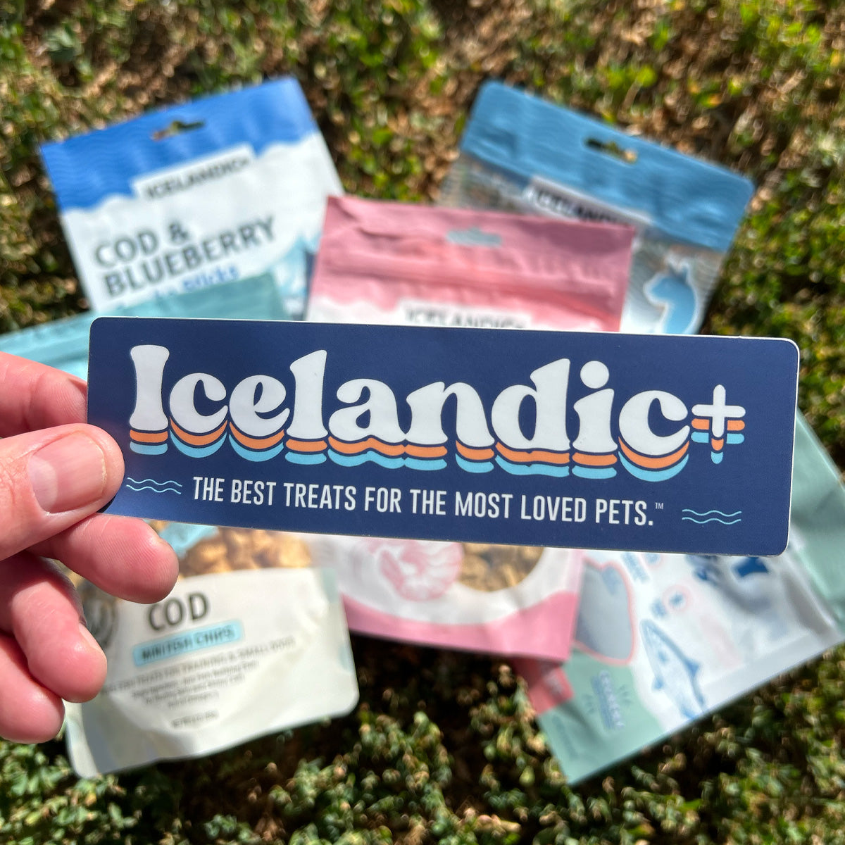 Vintage Logo Sticker