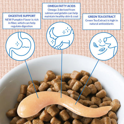 Inaba Churu Meal Topper For Dogs, Chicken & Pumpkin Recipe, 4-Pack of 0.5-oz Tubes