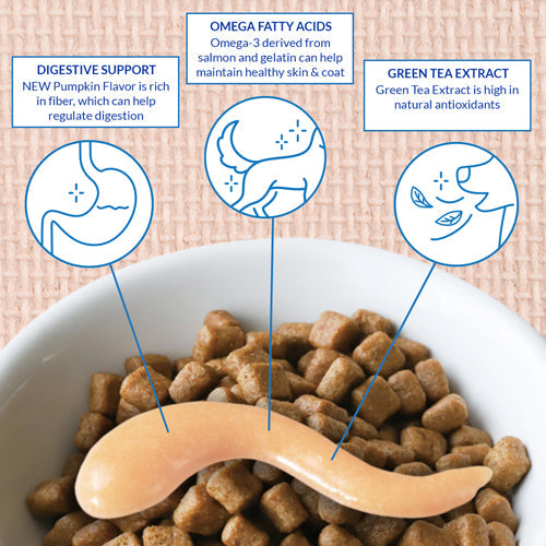 Inaba Churu Meal Topper For Dogs, Chicken & Cheese Recipe, 4-Pack of 0.5-oz Tubes