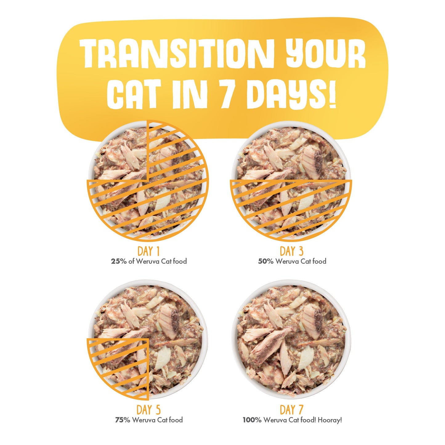 Wowzer Meowzer!
