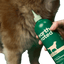 Double Coat 3-in-1 Dog Shampoo