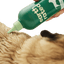 Coat Specific 3-in-1 Dog Shampoo