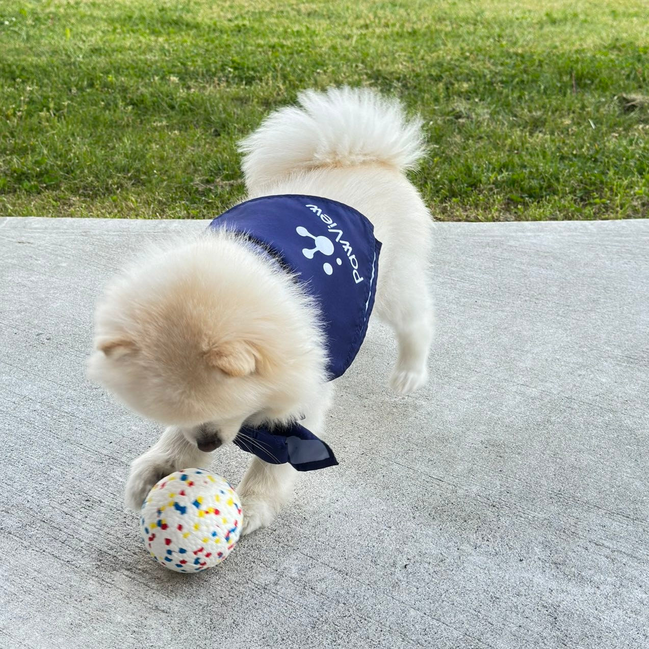 PawView Pet Grooming Towel Dog Drooling Bib