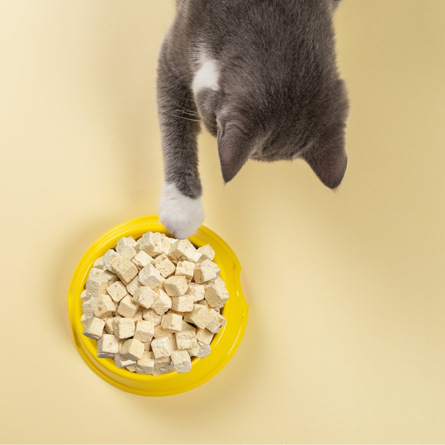 Paw Lickin' Chicken Freeze Dried
