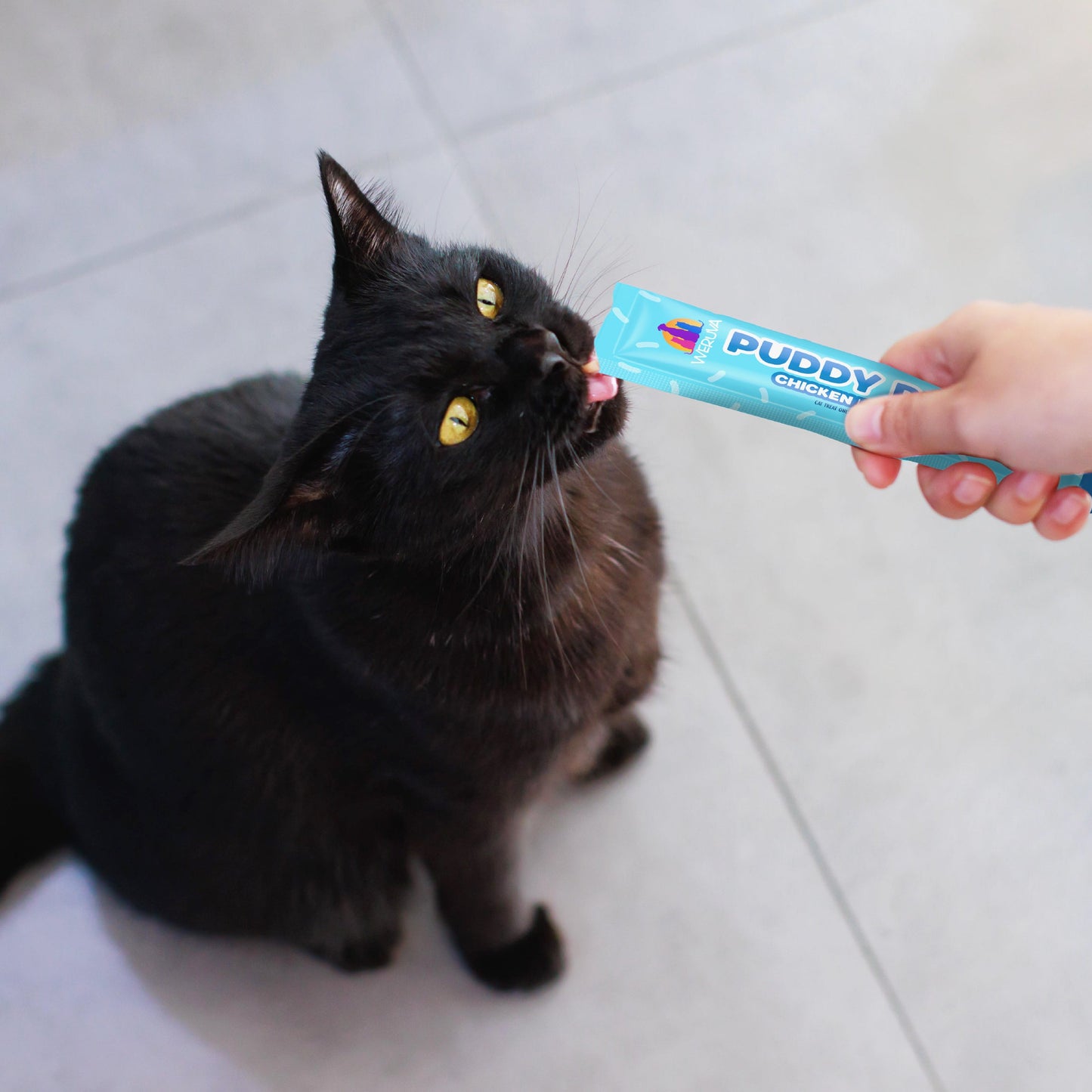 Lickable Tuna & Salmon Cat Treat