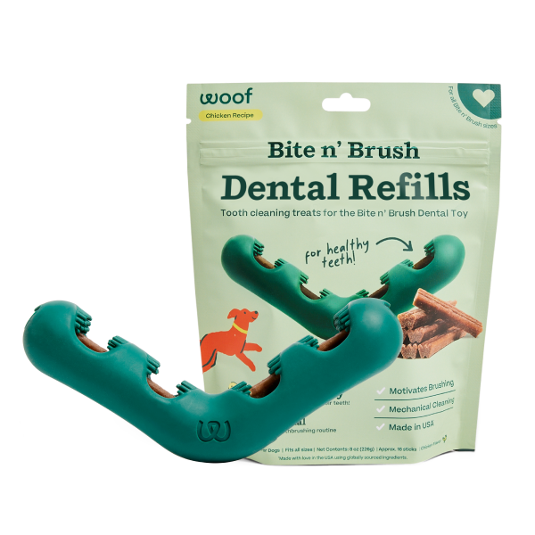 The Bite n' Brush Basics Pack