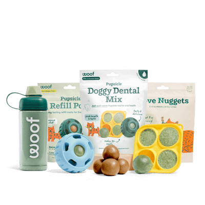 Dental Mix Starter Pack