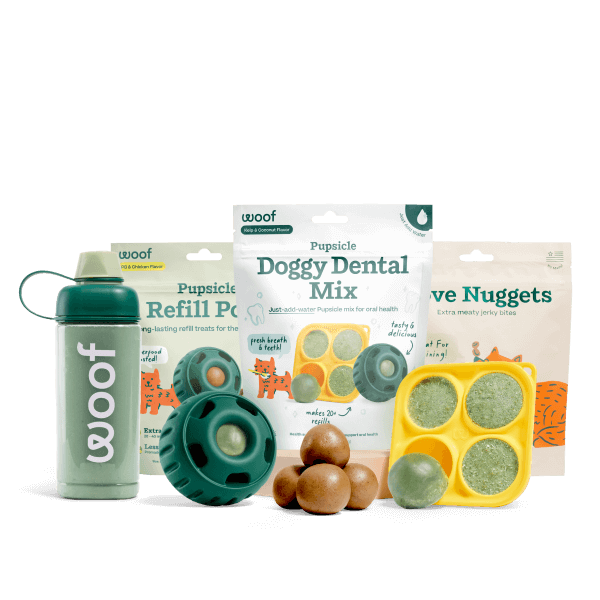 Dental Mix Starter Pack