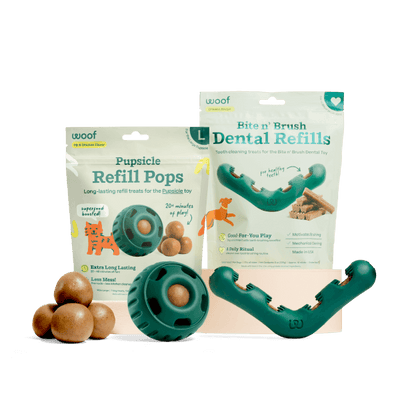 The Dental Play Pack