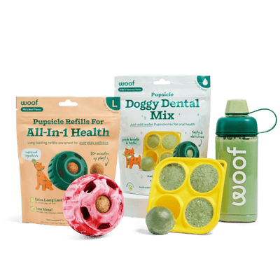 Healthy Holiday Helper