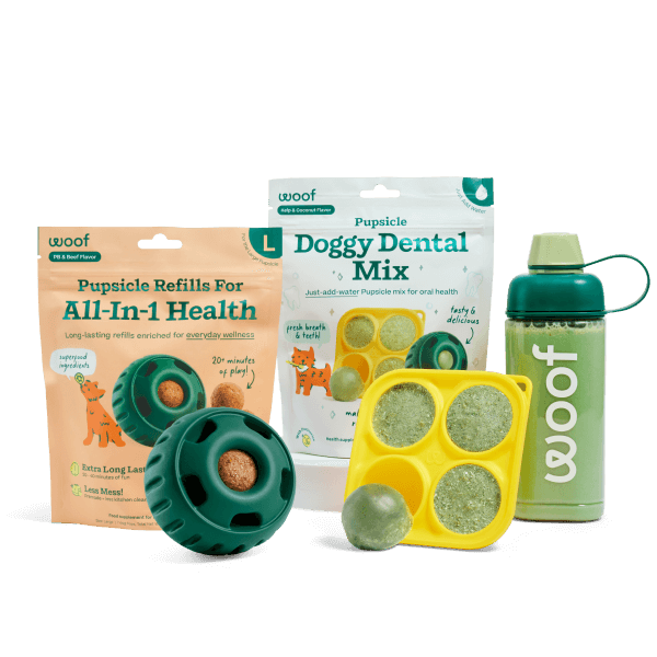 Healthy Holiday Helper