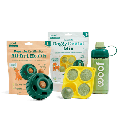 Healthy Holiday Helper