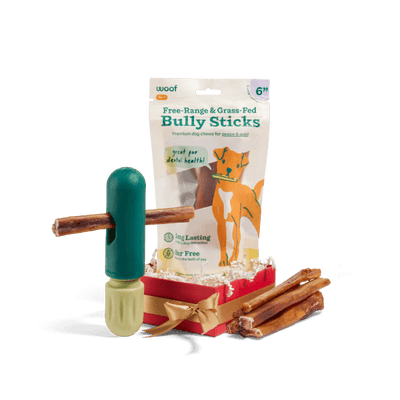 The BullySafe Starter Pack