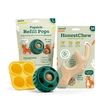 Safer Play Starter Pack