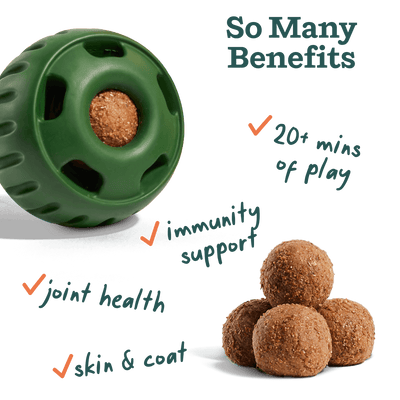 All-In-1 Wellness Pops