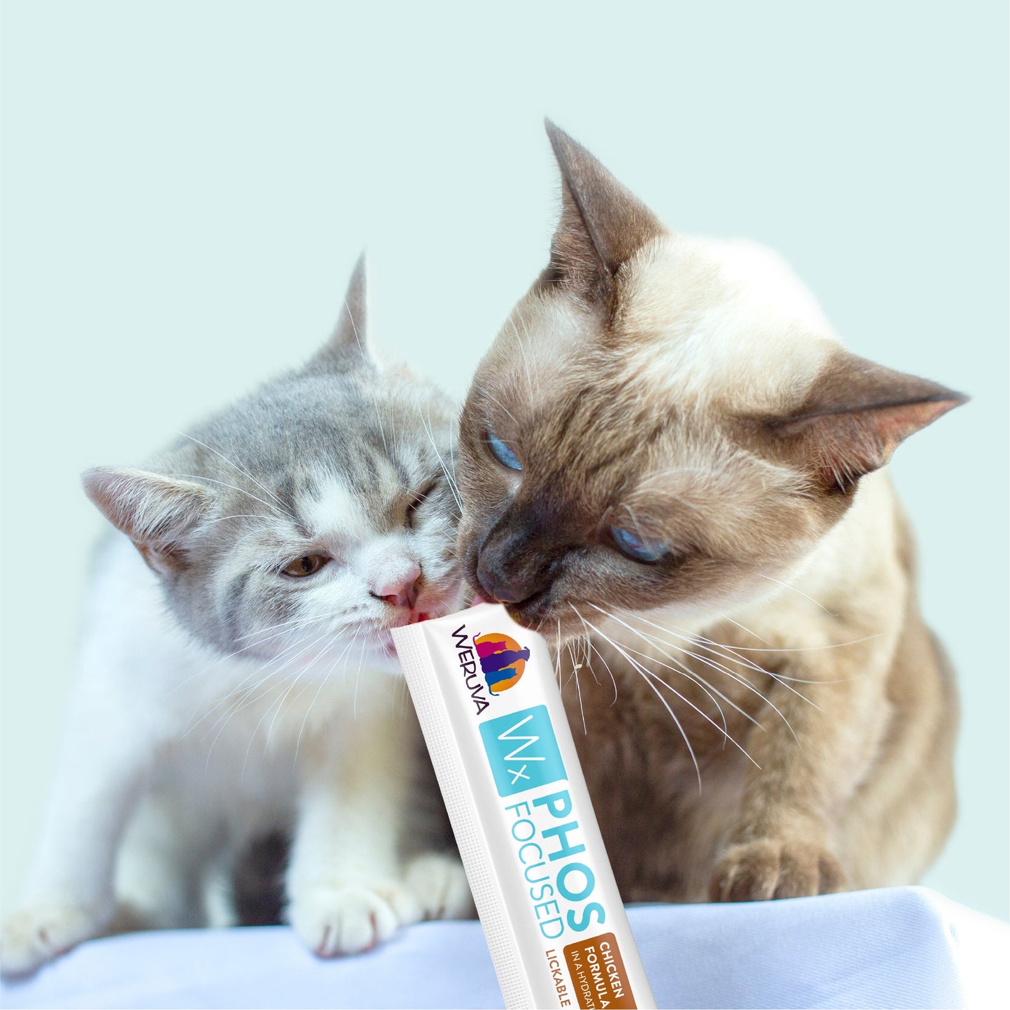 Lickable Tuna Cat Treat