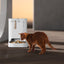 PetKit YumShare Dual & Egg Hunt Pack
