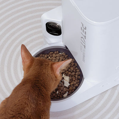 PetKit YumShare Solo & Egg Hunt Pack