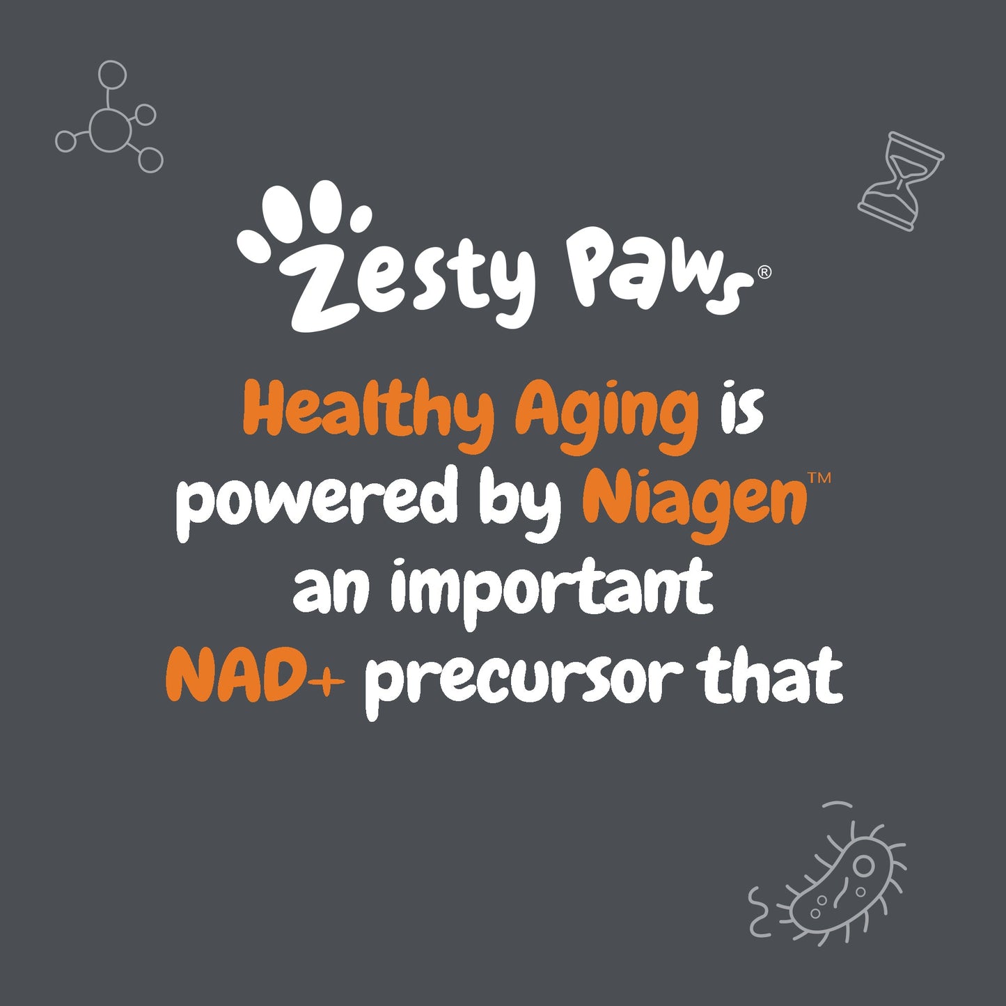 Healthy Aging NAD+ Precursor Powder for Dogs