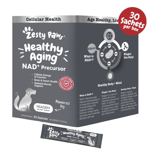 Healthy Aging NAD+ Precursor Powder for Dogs