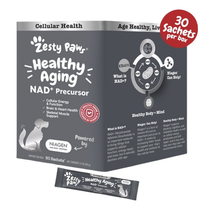 Healthy Aging NAD+ Precursor Powder for Dogs