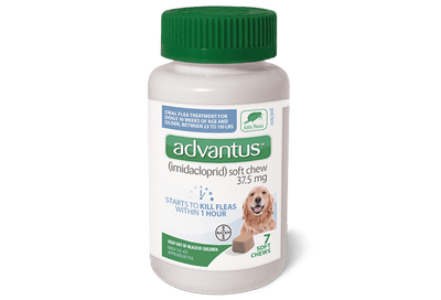 Elanco Advantus Flea Soft Chews For Large Dogs, 7-Count