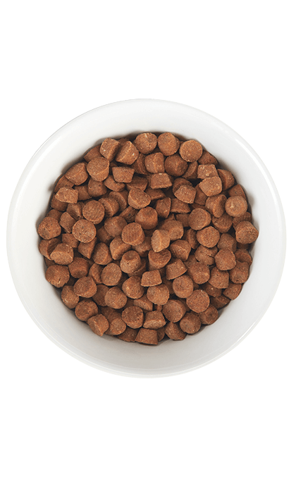 Tiki Cat Born Carnivore® Baby Kitten Health: Deboned Chicken & Egg Recipe 5.6-lb, Dry Cat Food