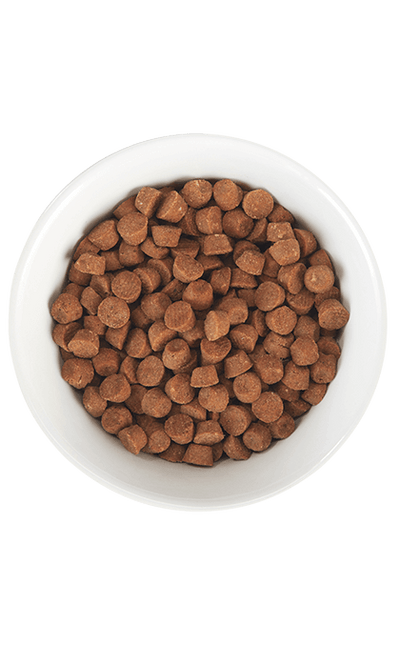 Tiki Cat Born Carnivore® Baby Kitten Health: Deboned Chicken & Egg Recipe 5.6-lb, Dry Cat Food