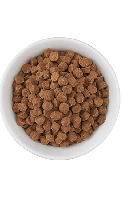 Tiki Cat Born Carnivore® Silver Senior Health: Chicken & Herring Meal Recipe 2.8-lb, Dry Cat Food