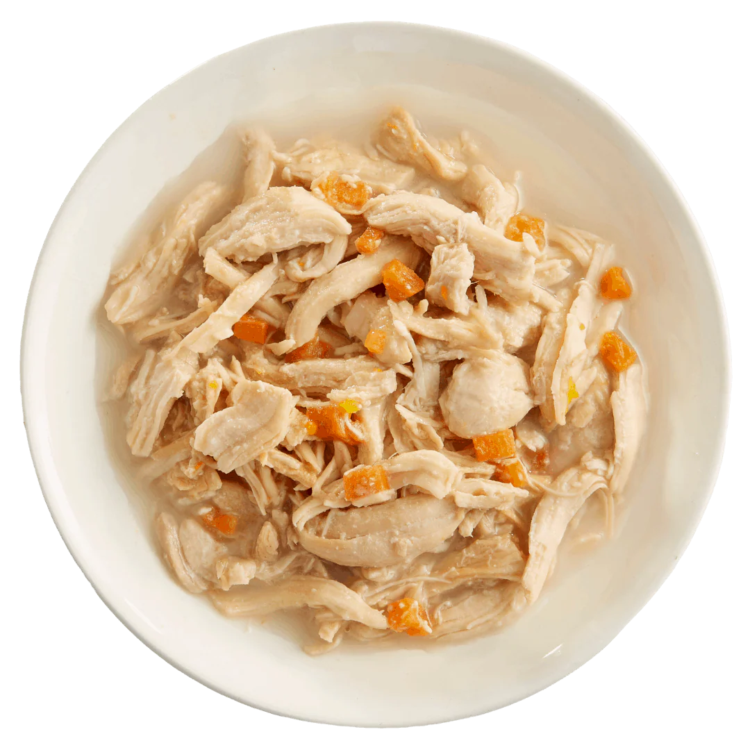 RAWZ® Shredded in Broth Chicken Breast, Pumpkin & New Zealand Green Mussels Recipe, Wet Dog Food, 10-oz Case of 12