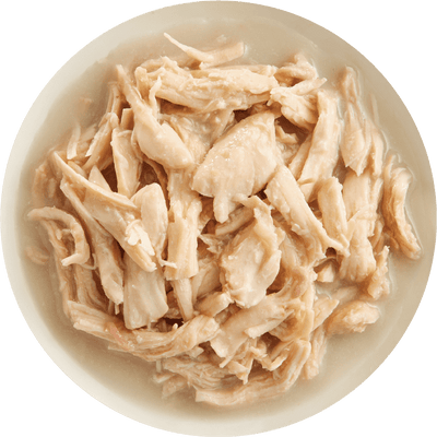 RAWZ® Shredded in Broth Chicken Breast & New Zealand Green Mussels Recipe, Wet Dog Food, 10-oz Case of 12