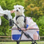PetKol PETKIT Bon Voyage Pet Stroller