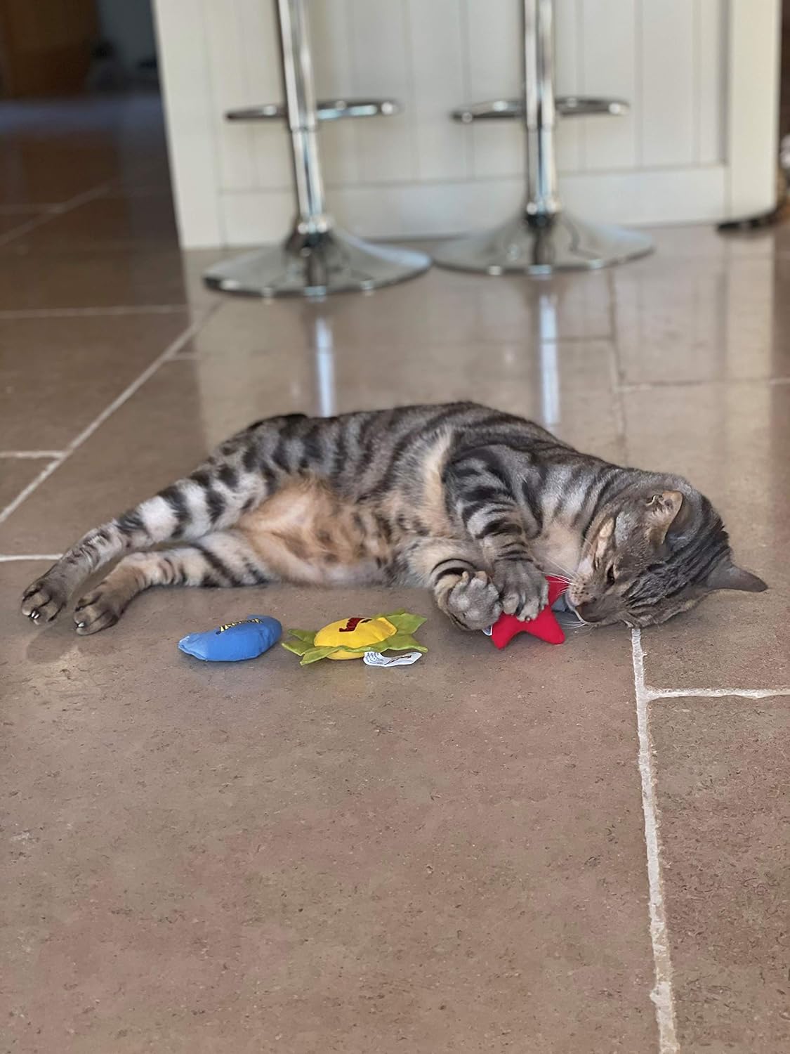 Yeowww! Sun, Moon, & Stars, Cat Toy