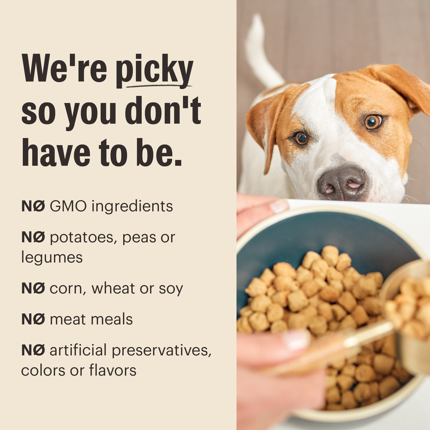 Whole Grain Beef & Oat Whole Food Clusters