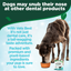 Dental Powder for Dogs