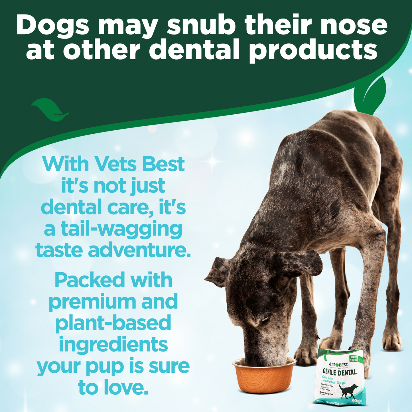 Dental Powder for Dogs