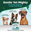 Dental Powder for Dogs