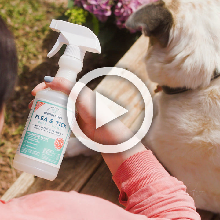 Wondercide 16 oz. Flea & Tick Spray for Pets + Home with Natural Essential Oils