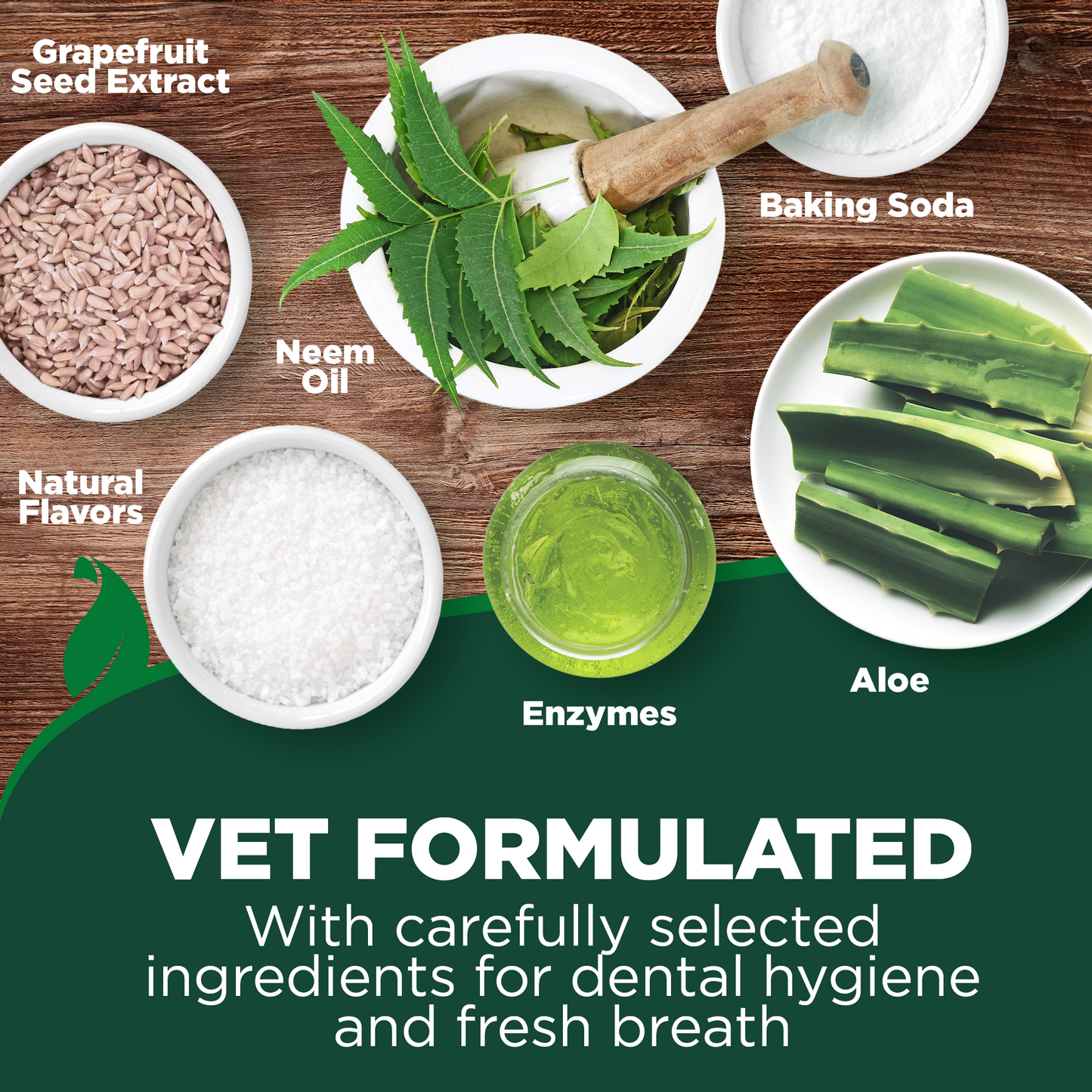 Dog Toothbrush & Enzymatic Toothpaste Set
