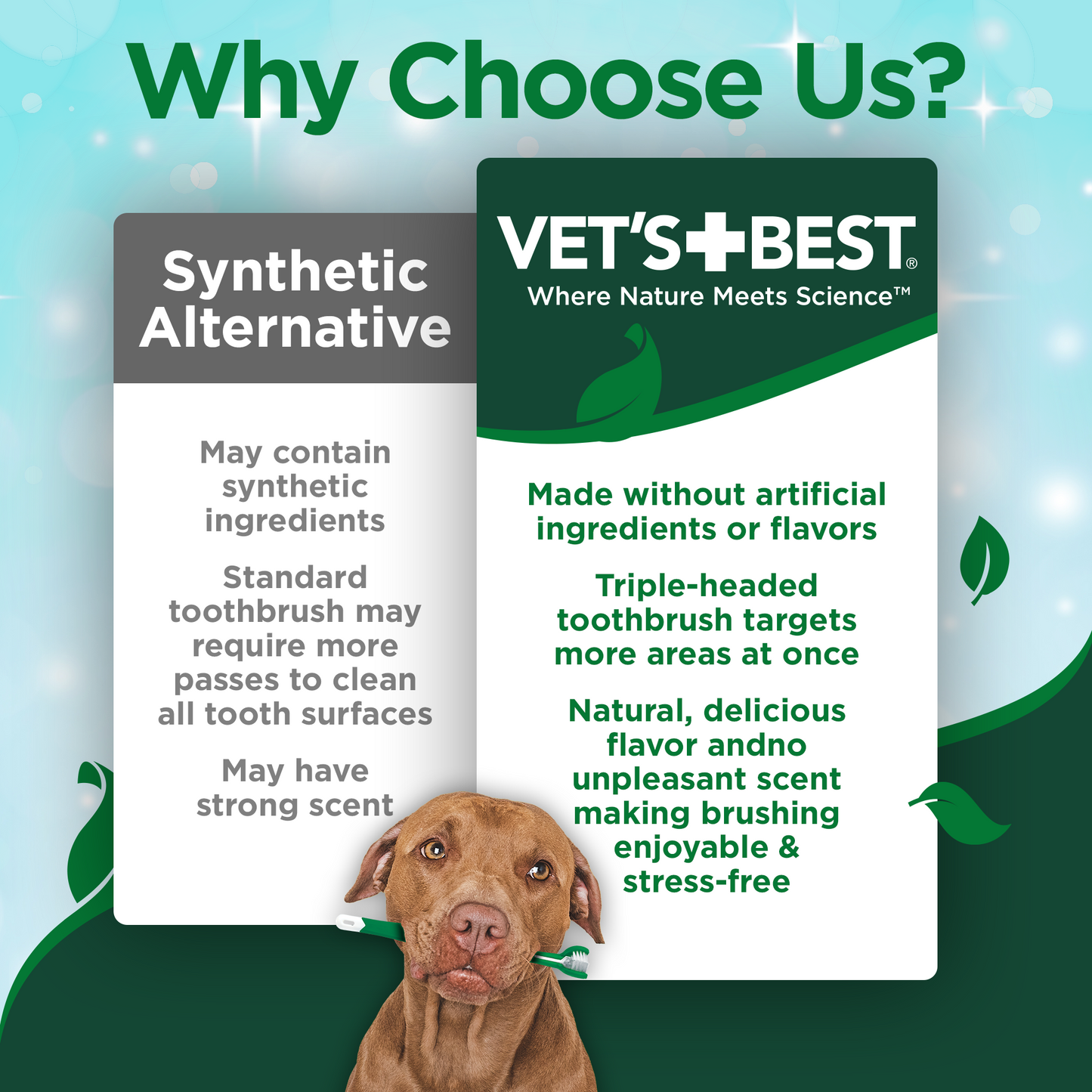 Dog Toothbrush & Enzymatic Toothpaste Set
