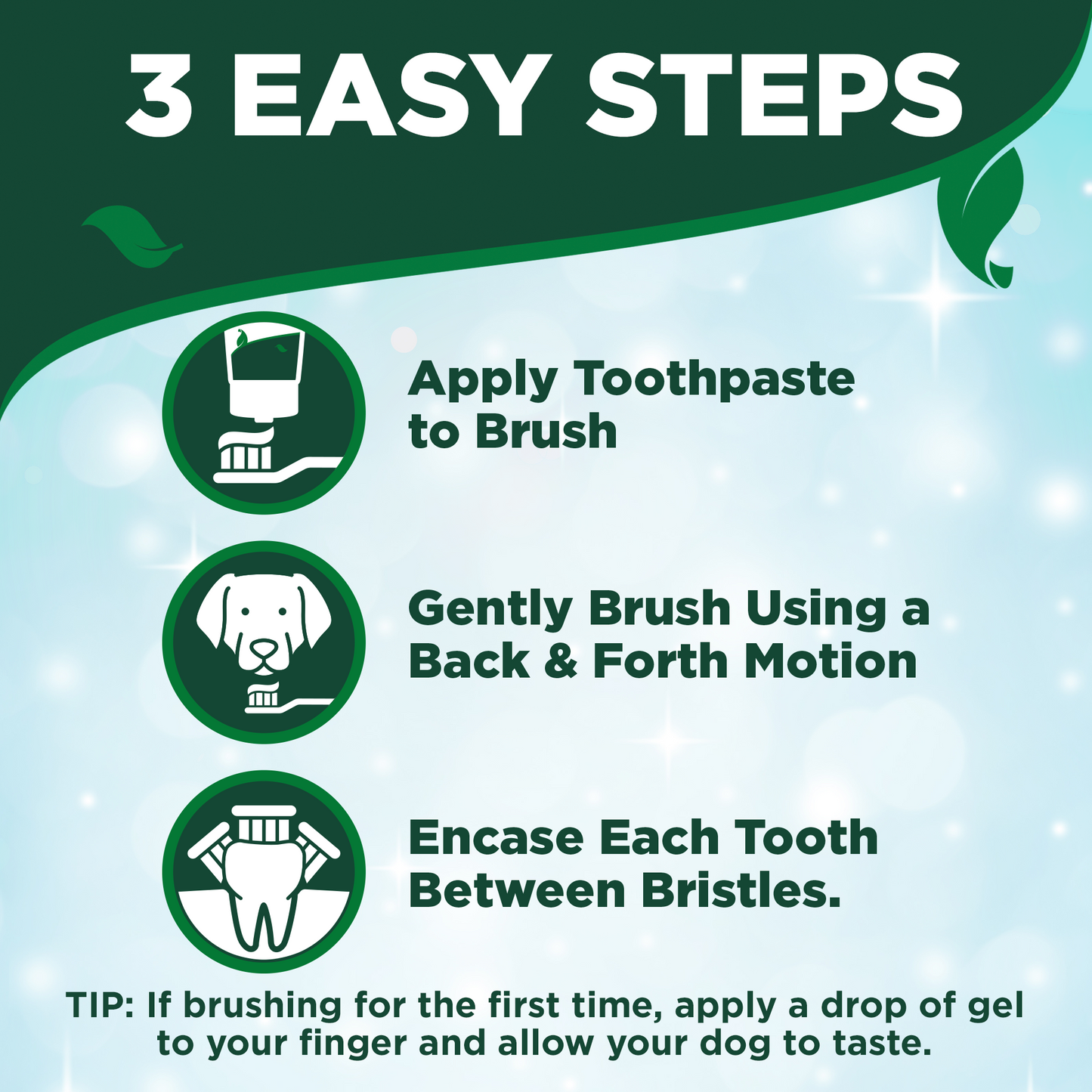 Dog Toothbrush & Enzymatic Toothpaste Set