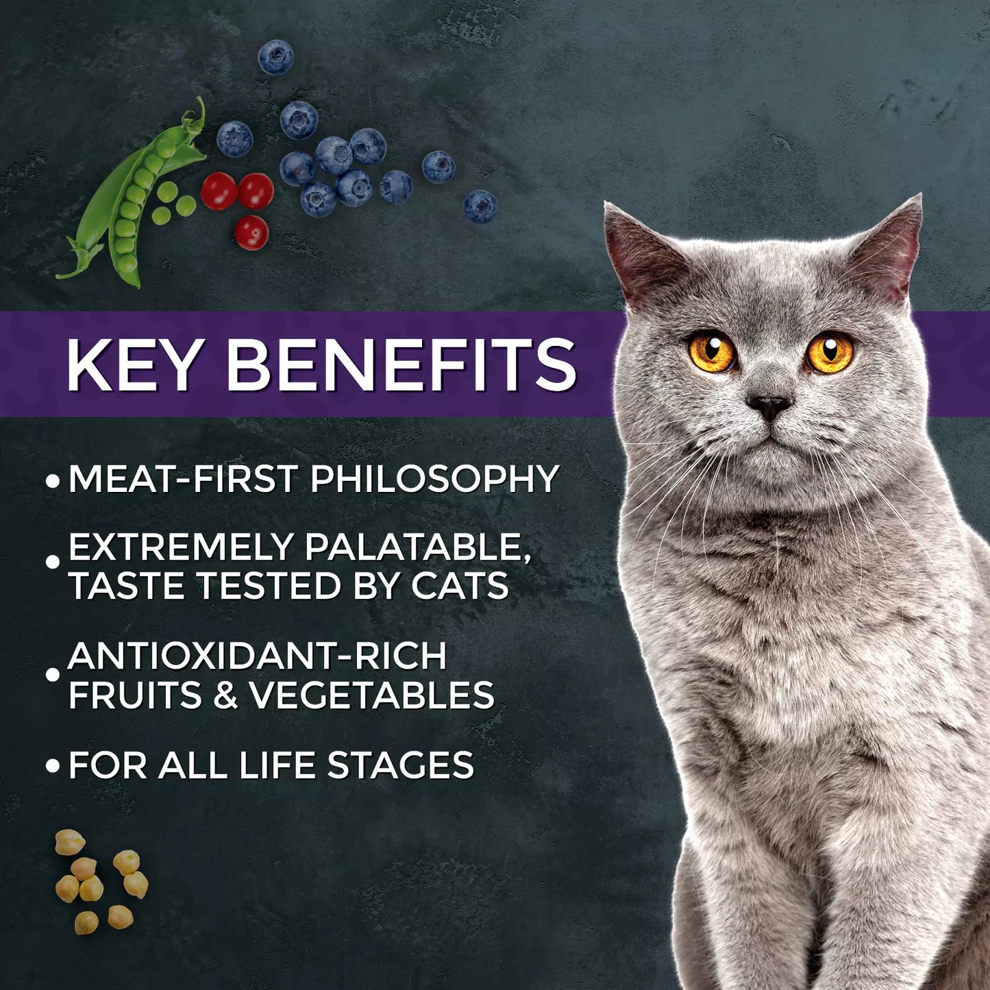 Fussie Cat Market Fresh Duck Dry Cat Food