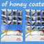 Holiday Advent Calendar