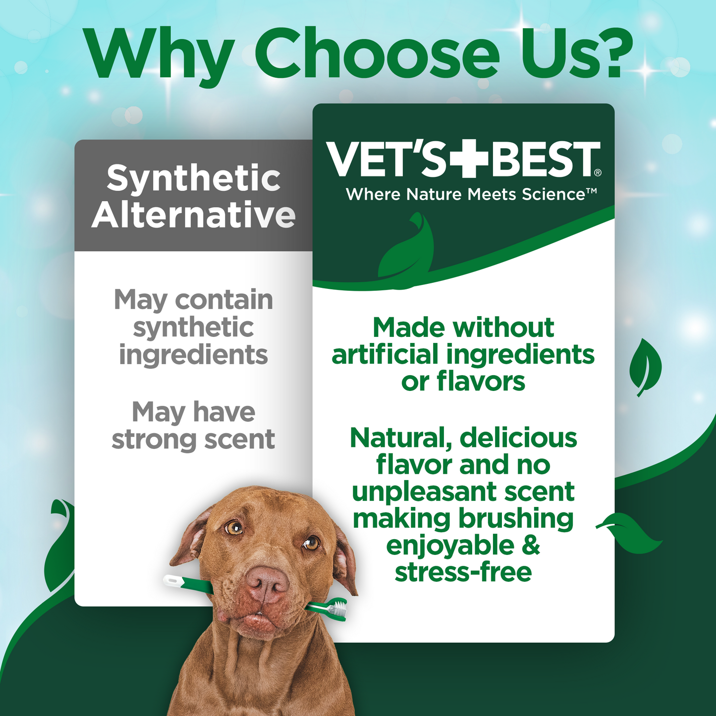 Enzymatic Dog Toothpaste