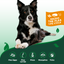 Flea & Tick Home Spray for Dogs - Peppermint, 32. oz