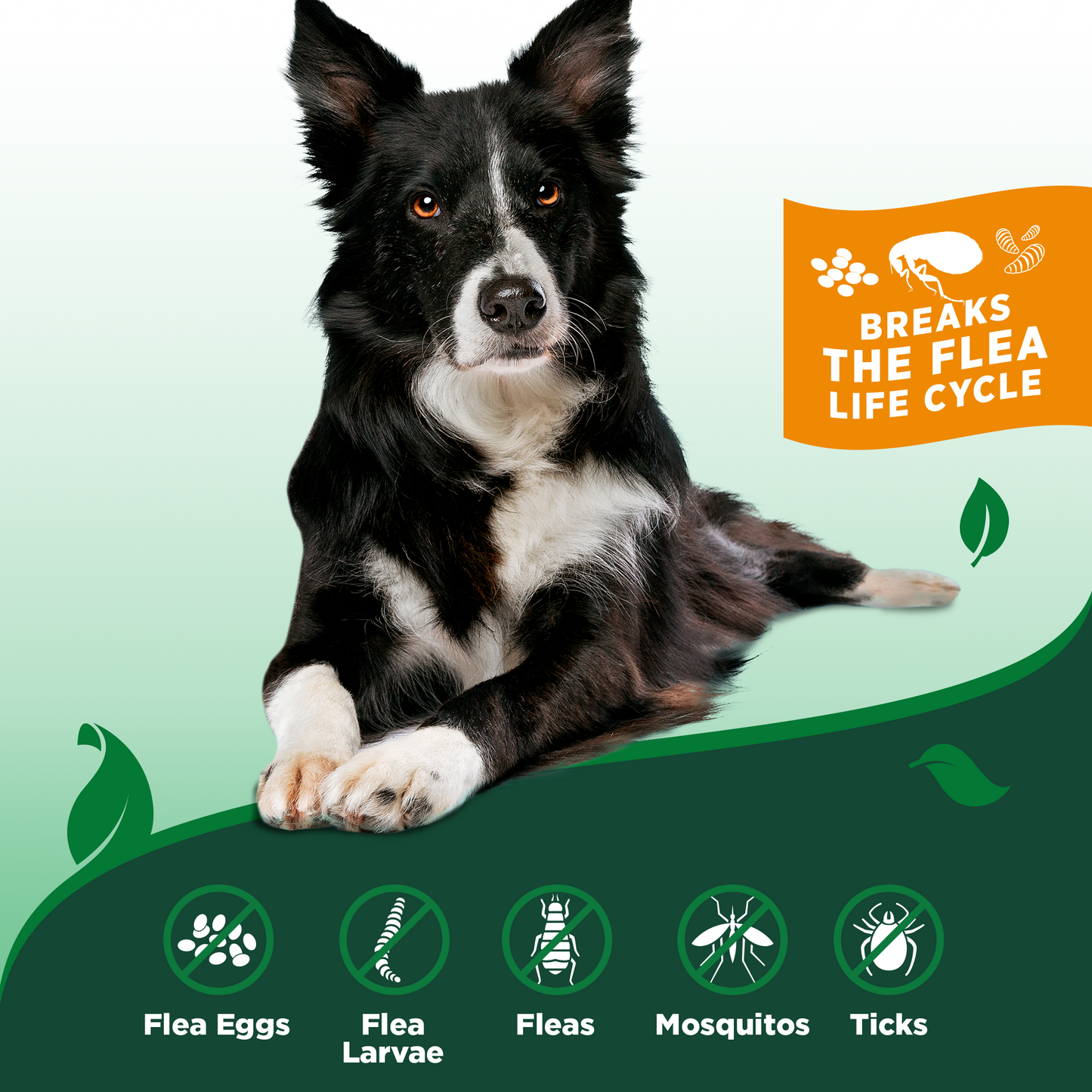 Flea & Tick Home Spray for Dogs - Peppermint, 32. oz