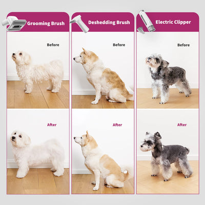 PetKte FurWaker Grooming Kit+EverSweet Fountain