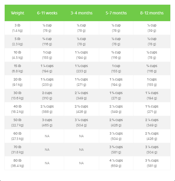 FirstMate High Performance for Active Dogs and Puppies Dry Dog Food, 5-lb Bag