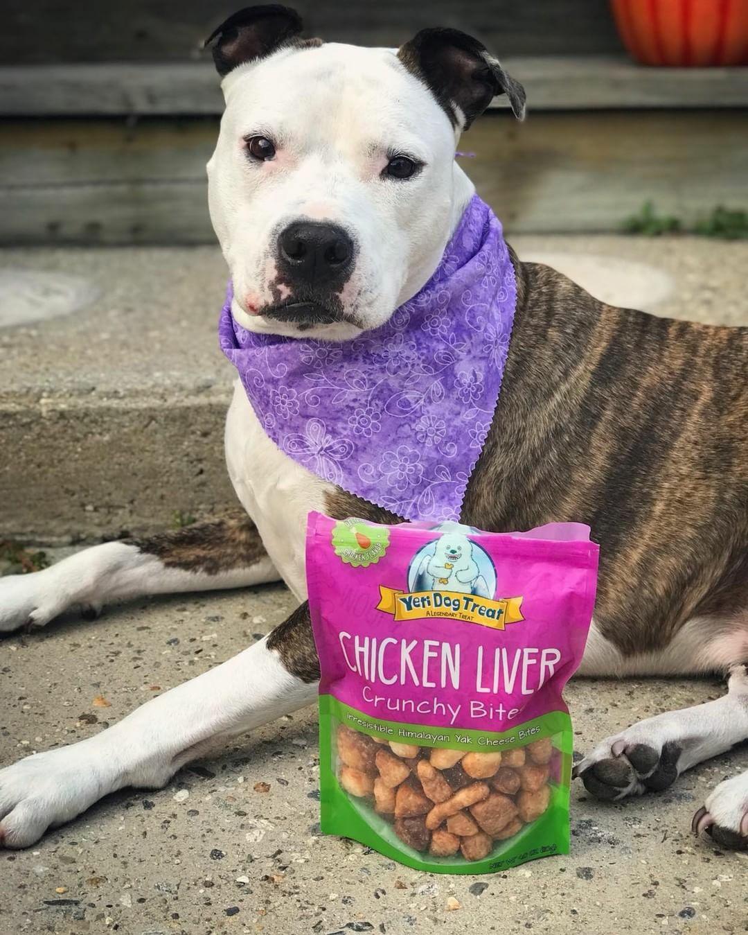 Yeti Chicken Liver Bites