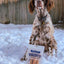 Free Biscotti